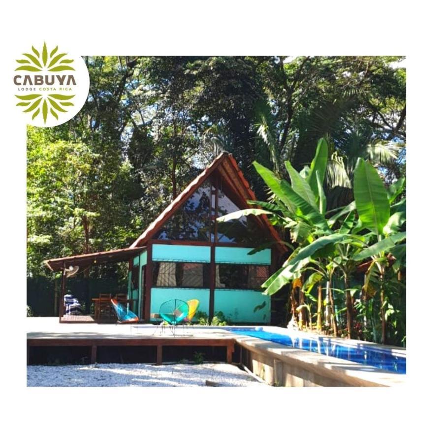 Cabuya Lodge エクステリア 写真